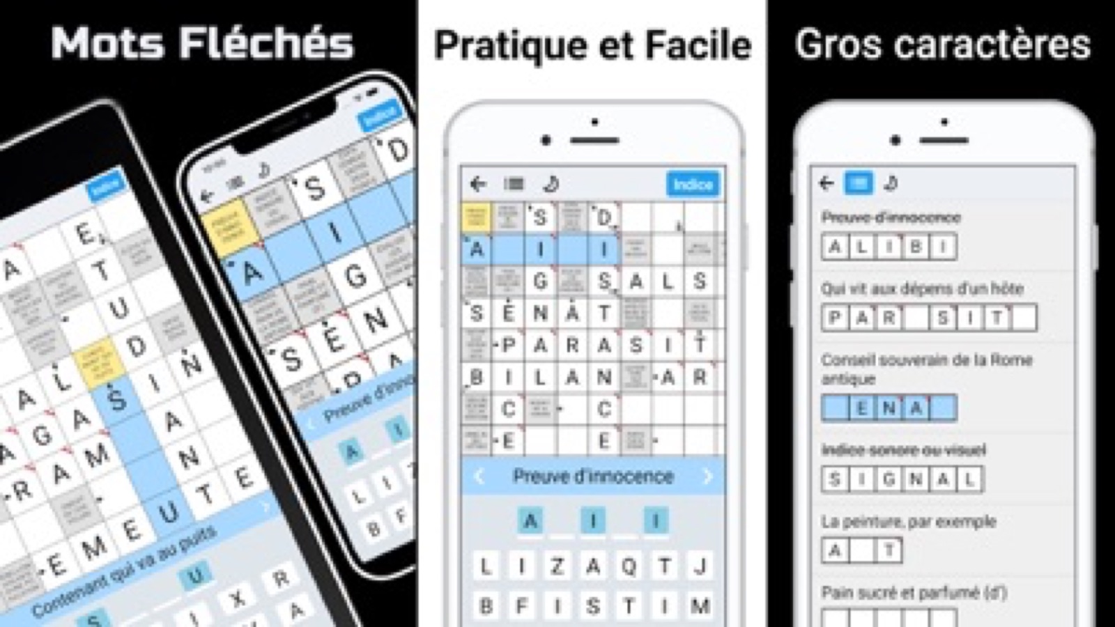 Capture d'écran 2 de Mots Fléchés