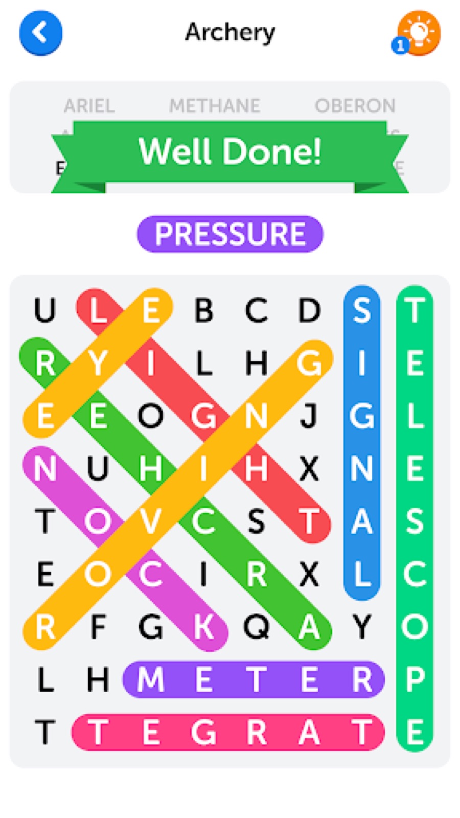 Couverture de Word Search